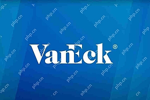 VANECK文件用于物理支持的BNB ETF