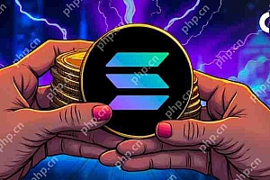 Crypto Finance出现了一种新趋势,在该财务中,多家公开交易的公司在Solana之后,使其成为国库资产。