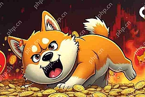 周末,Shiba Inu(Shib)市场大部分都保持安静,顶级硬币的价格下跌。
