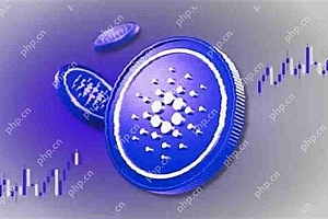成功比特币桥测试后,Cardano(ADA)处于巨大的价格上涨的边缘