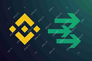 2025年最佳的二手替代方案