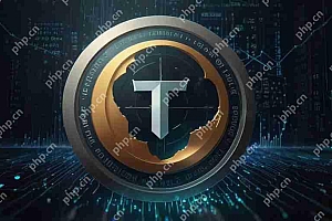 Tether(USDT)评论:Stablecoins的国王?