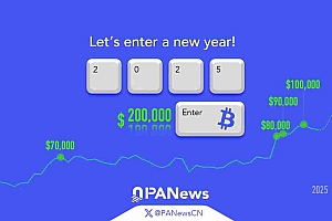 迈入2025年,PANews与您开启加密新篇章!