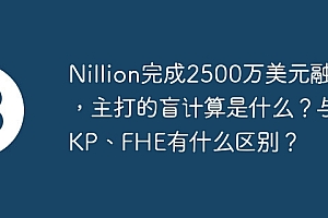 Nillion完成2500万美元融资,主打的盲计算是什么?与ZKP、FHE有什么区别?