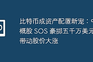 比特币成资产配置新宠:中概股 SOS 豪掷五千万美元,带动股价大涨