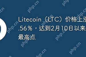 Litecoin(LTC)价格上涨10.56%,达到2月10日以来的最高点