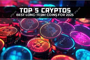 码头(TICS):2025年爆炸的最佳加密货币