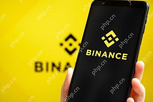 币安Binance交易app最新版 v2.99.5 注册认证全教程