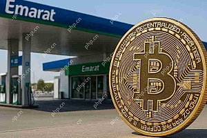 阿联酋一般石油公司(EMARAT)在加油站推出加密付款