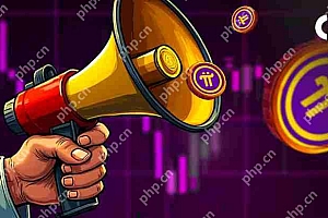 PI Network的Pi硬币价格在2025年首次亮相时提前10%