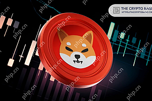 尽管具有模因启发的起源,但行业专家还是将Shiba Inu确定为加密项目之一,具有持久的潜力并保持了数十年的关系。