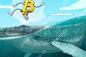 比特币鲸鱼吸收了新挖矿比特币供应的300%—下一个目标是10万美元吗?