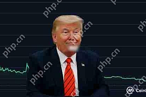 Meme币TRUMP首次赋能?传川普将为代币持有者办晚宴