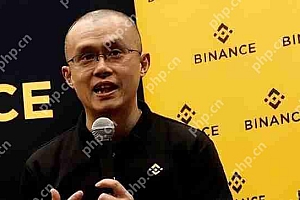 一文了解赵长鹏公开喊BNB是Meme币引发社群热议!