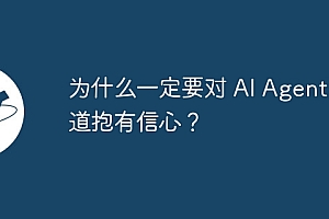 为什么一定要对 AI Agent 赛道抱有信心?