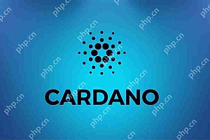 Cardano(ADA)2025–2028 年 10 倍潜力解析:智能合约平台的价值重估之路