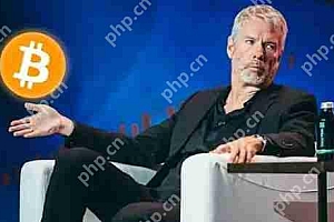 Michael Saylor分析:比特币未破新高原因是市场正进入筹 码轮动期