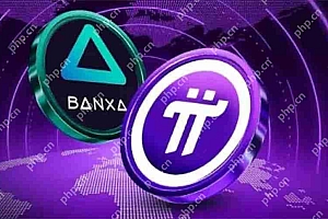 Pi 币现已通过 BANXA KYB 在 100 多个国家/地区发售