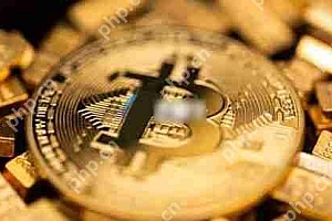 Bitfinex分析:比特币看涨趋势渐成!未来几周将是关键时期