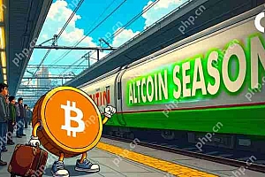 Altcoin季节指数下降到25岁以下,表明比特币季节尽管最近运行
