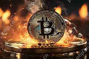 CryptoQuant分析:比特币获利比重突破80%!距离情绪高点不远