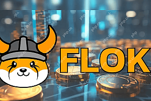 弗洛基(Floki