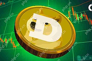 Polymarket对Dogecoin的预测明天即将结束0.24美元,只有13%的人认为这将发生。