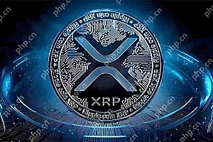 XRP即将狂飙!10美元1000美元?揭秘背后三大暴涨逻辑