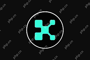 凯托(Kaito)近期价格飙升背后的引擎:InfoFi全面介绍