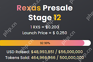 RXS币未来价格预测:2025年-2030年