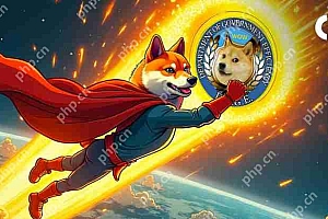 政府效率部(DOGE)令牌目前正在以强大的向上移动在加密货币市场中挥手。