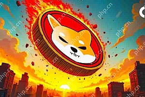 Shiba Inu(Shib)在其Shib Burn Initiative中关闭了410万亿代币的里程碑