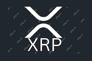 芝加哥商业交易所(CME)集团于2025年5月19日星期一启动XRP期货合约