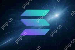 Solana单日收入超所有Layer1与Layer2区块链总和 更是3倍于以太坊
