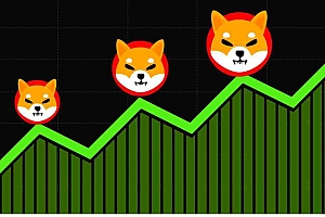 Shiba Inu(Shib)令牌已准备好起飞。不要错过参加旅程的机会!