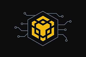 BNB Chain是什么链?BNBChain和BSC链区别分析