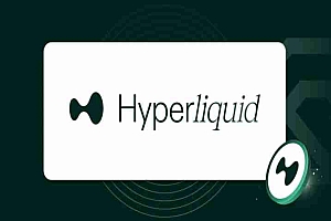 HyperLiquid(HYPE)币是什么?HYPE币价分析及未来展望介绍