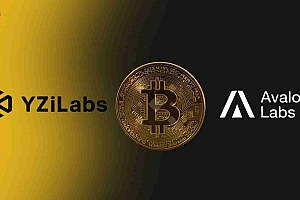 Yzi Labs投资于比特币 – 先驱分散的财务(DEFI)公司Avalon Labs