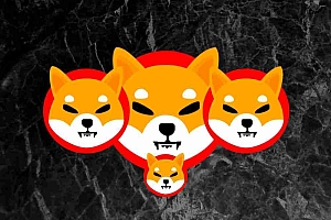 Shiba Inu(Shib)开发团队探索了代币达到1美元的可能性