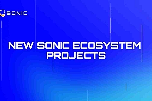 Sonic SVM揭示了Defi,NFT,Games和Meme Projects的强大生态系统