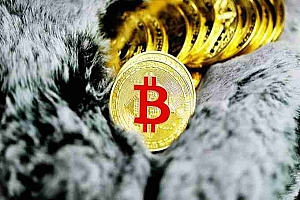 为什么比特币会下跌?BTC价格跌至11月以来的最低水平