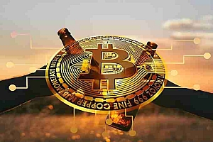 TST币是什么?为什么突然暴涨