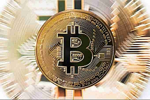 新币上交易所一般需要多久才能交易?