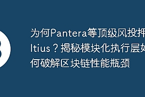 为何Pantera等顶级风投押注Altius?揭秘模块化执行层如何破解区块链性能瓶颈