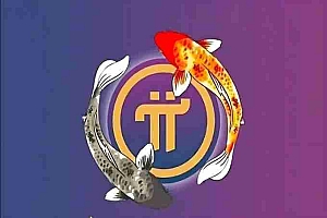 2025年2月17日尼博士网络信息更新,相信柱网后先锋会惊喜不断!