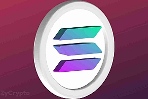 ARK Invest的首席执行官Cathie Wood与许多其他著名的创始人一起参加了Solana加速会议。