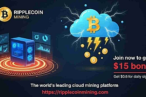 根据Robinhood的评估,Ripplecoin Mining的当前计算能力包每天可产生高达6,500美元的收入