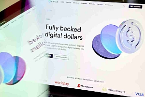 Circle Internet Group是世界上最大的Stablecoins之一的发行人,其首次公开募股的价格为每股31美元,高于预期范围27-28美元,并使该公司的总市场价值为68亿美元。