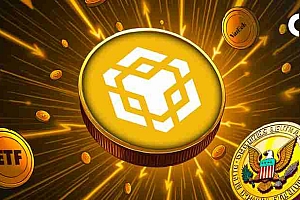 BNB社区成员正在建立兴奋