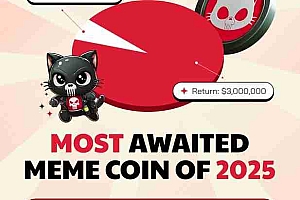 一种新型模因硬币的兴起